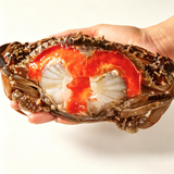 Marinated Raw Female Swimming Crab with Roe