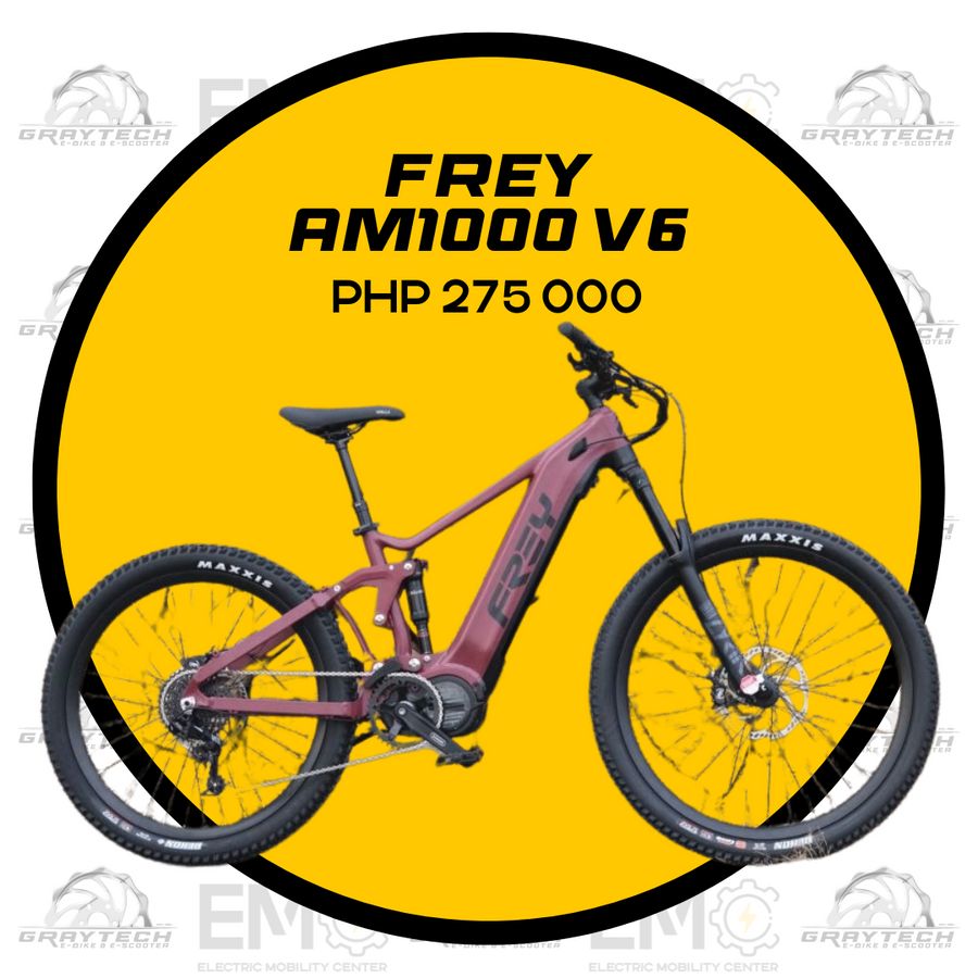 Frey bike online prices